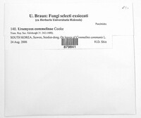 Image Associated With the Occurrence